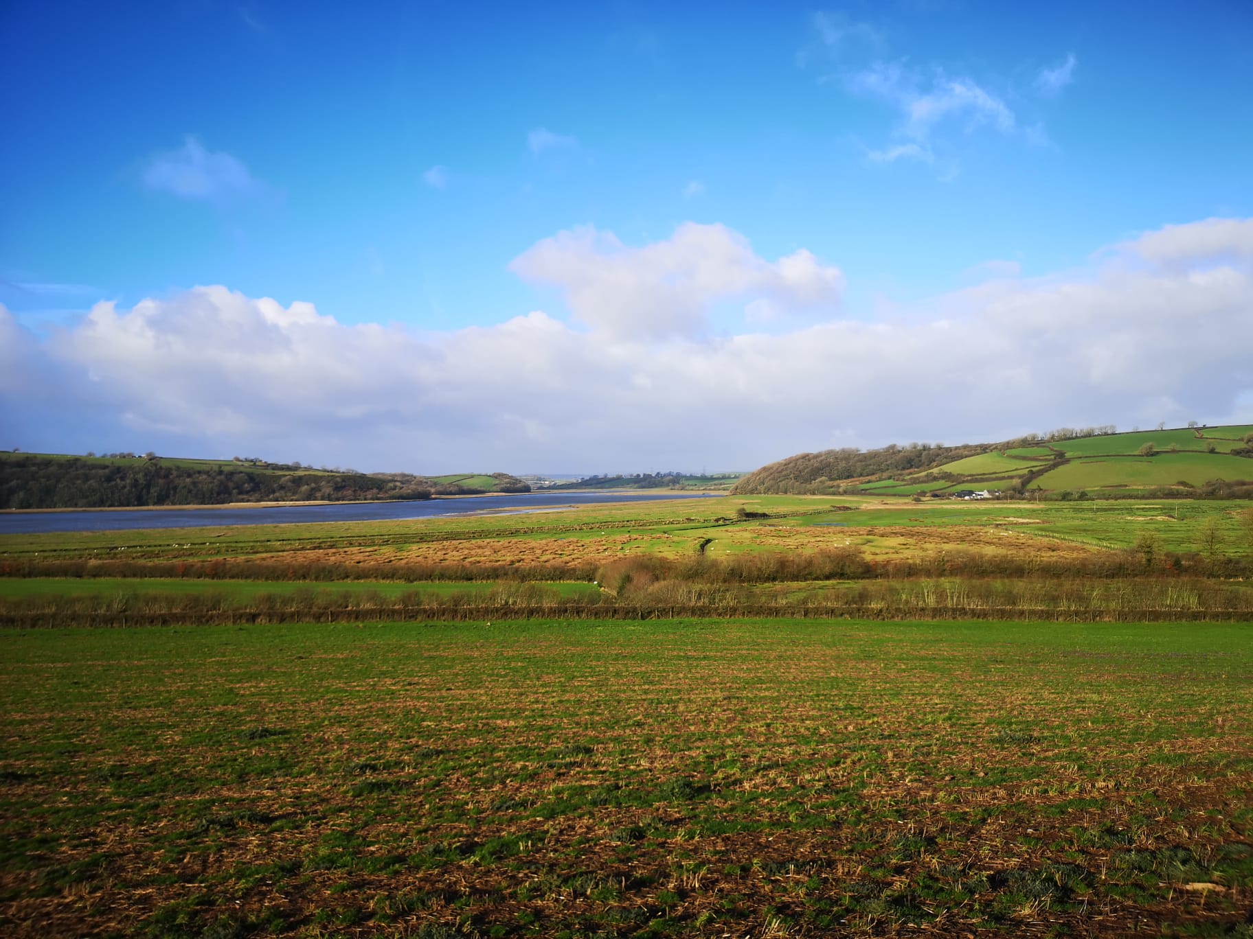 Taf Estuary view