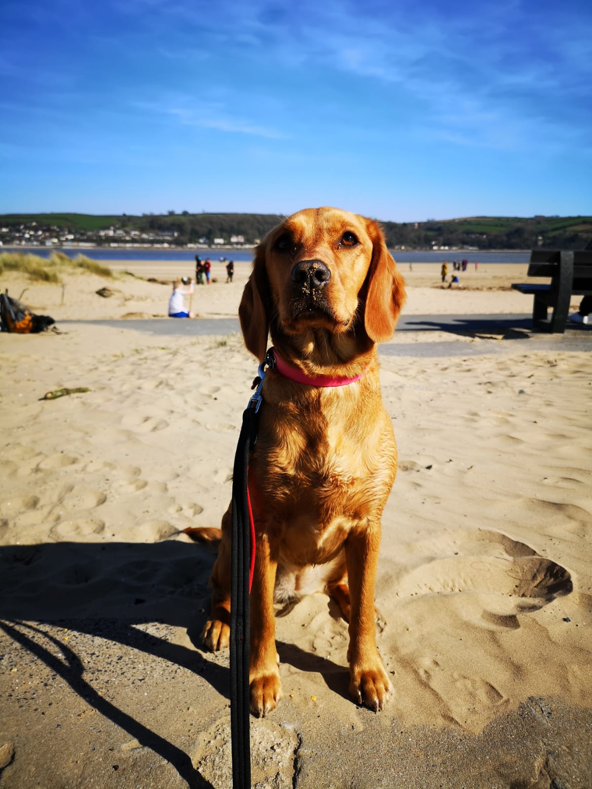 Llansteffan Beach