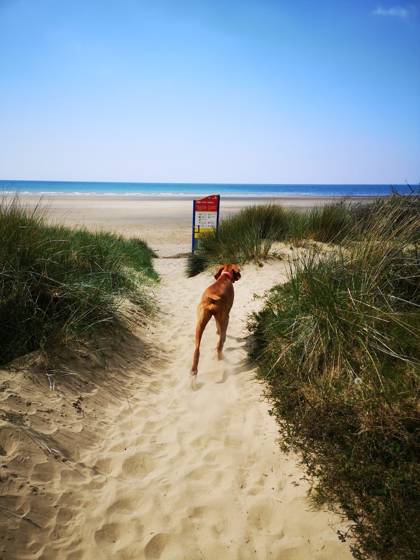 Race to Pembrey Beach