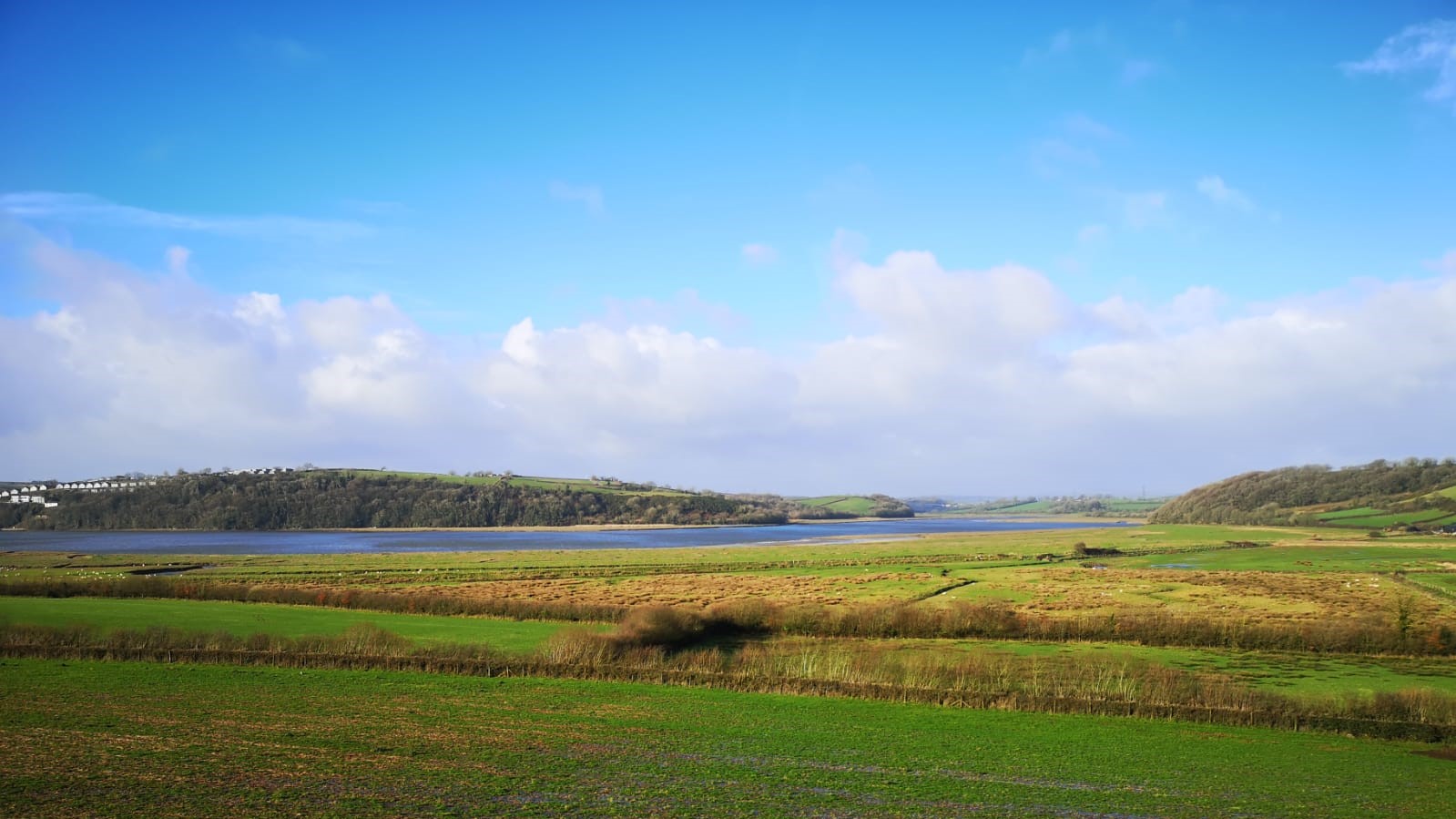 View from Lodge across Taf Estuary