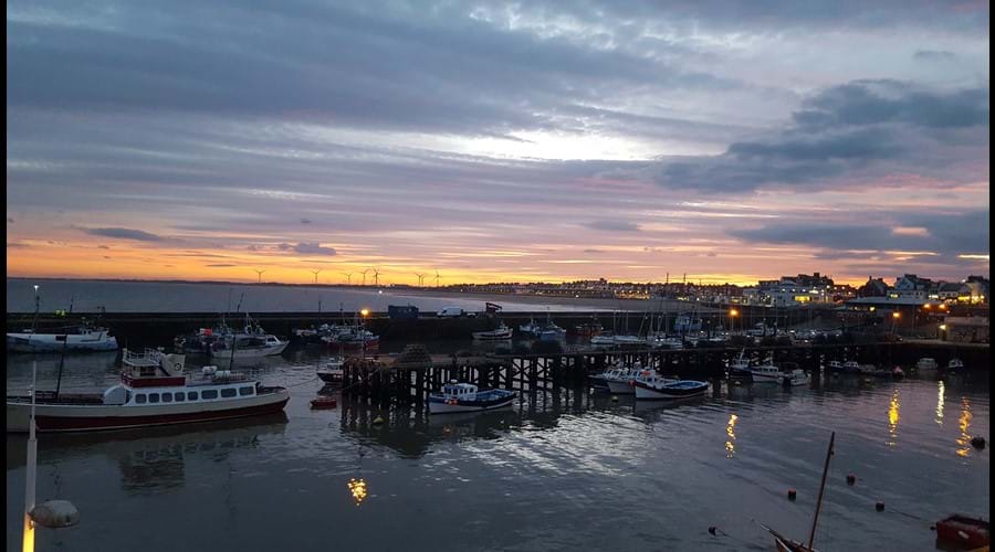 Brid - View from Harbour Pub