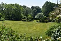 Rowden Court - Communal Garden