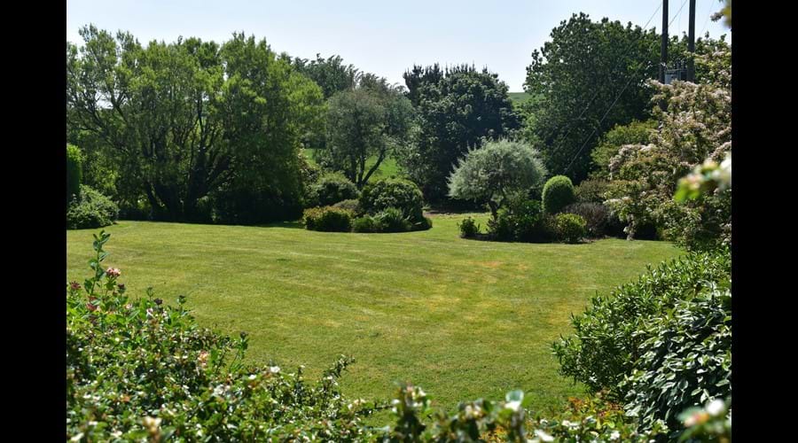 Rowden Court - Communal Garden
