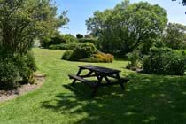 Rowden Court - Communal Garden