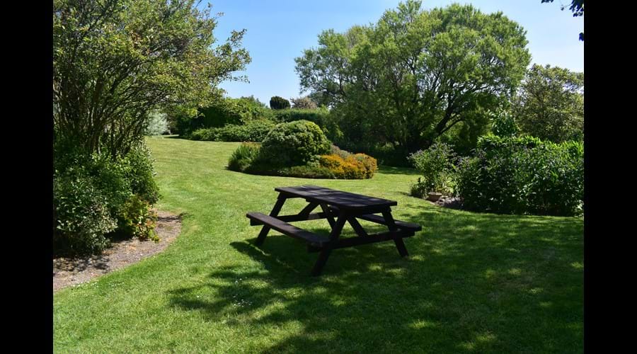 Rowden Court - Communal Garden