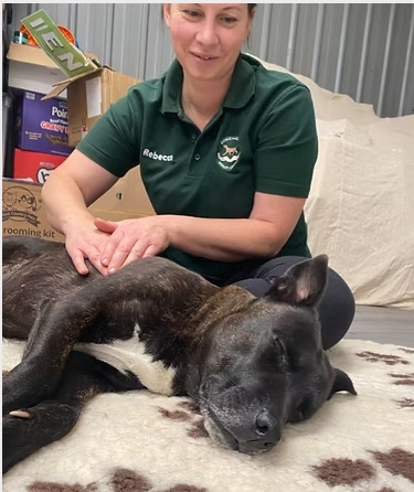 therapeutic non-invasive technique