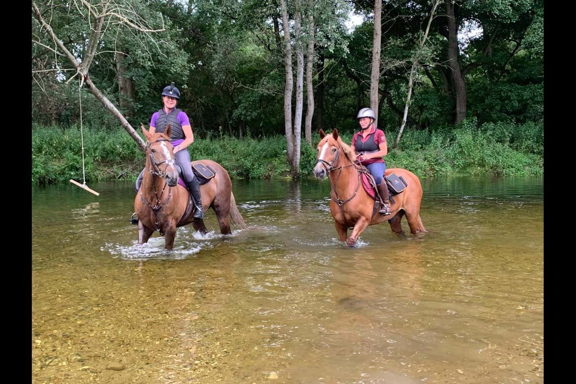 Photos Forest Equine Escapes