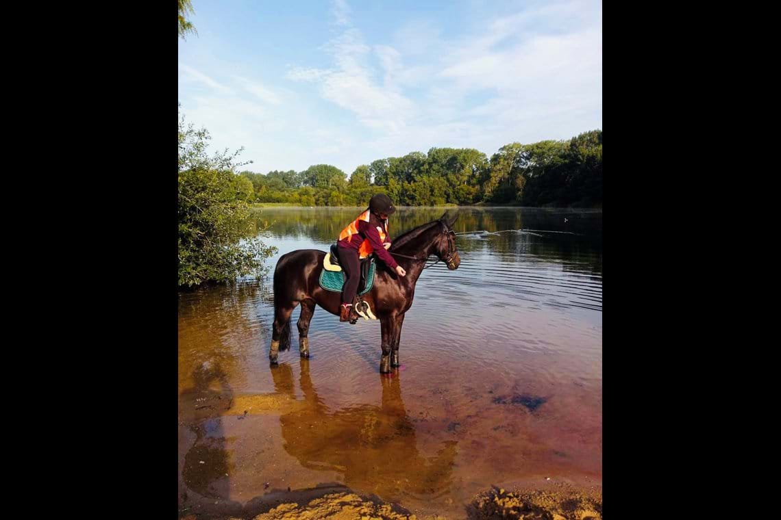 Photos Forest Equine Escapes