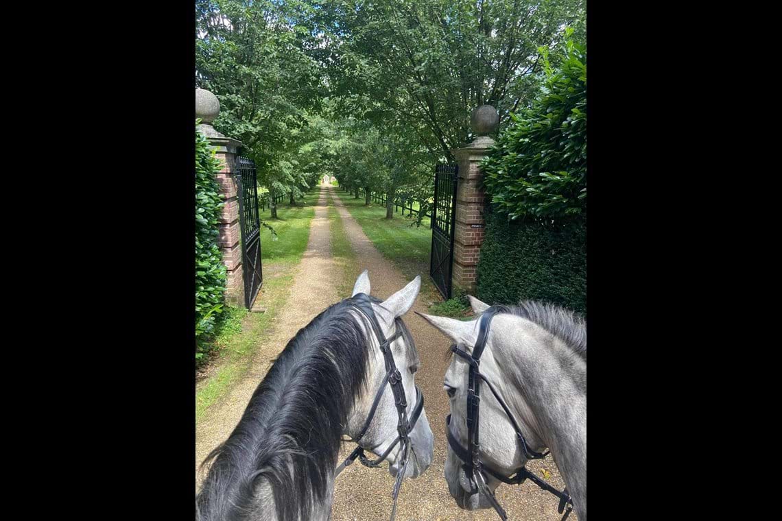 Photos Forest Equine Escapes