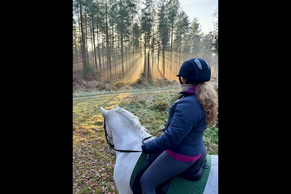 Photos Forest Equine Escapes