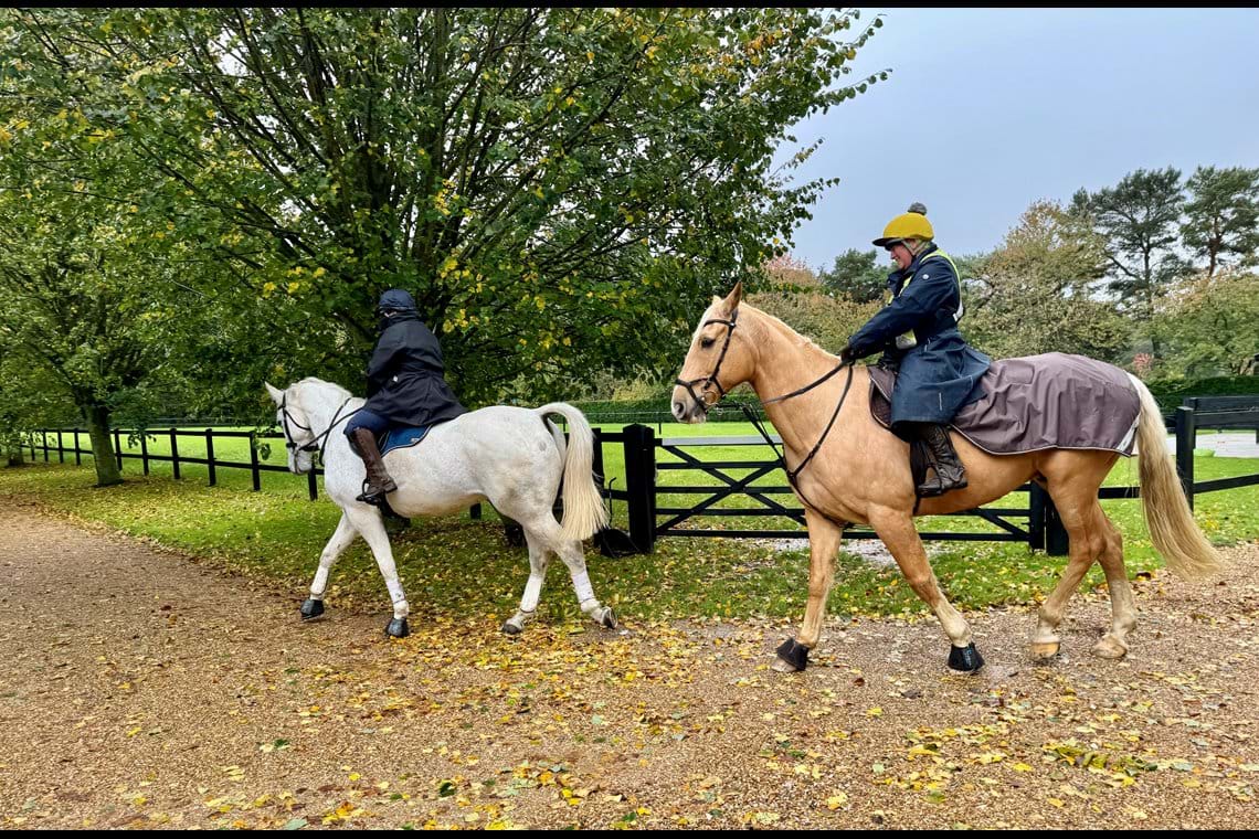 Photos Forest Equine Escapes