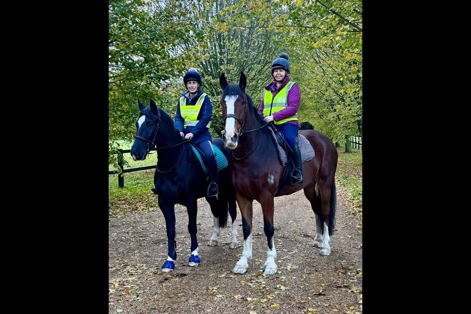 Photos Forest Equine Escapes