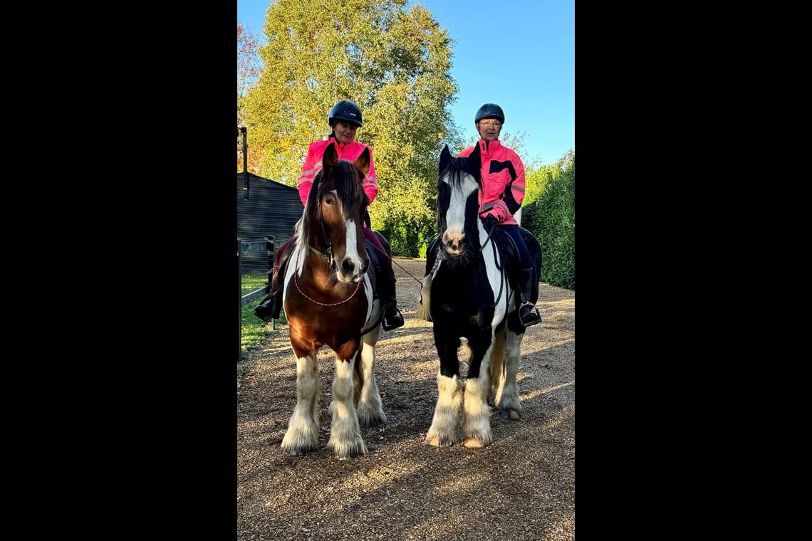 Photos Forest Equine Escapes