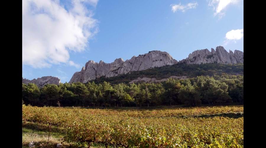 Les Dentelles