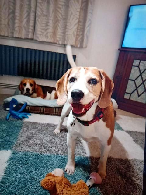 2 of our favourite guests