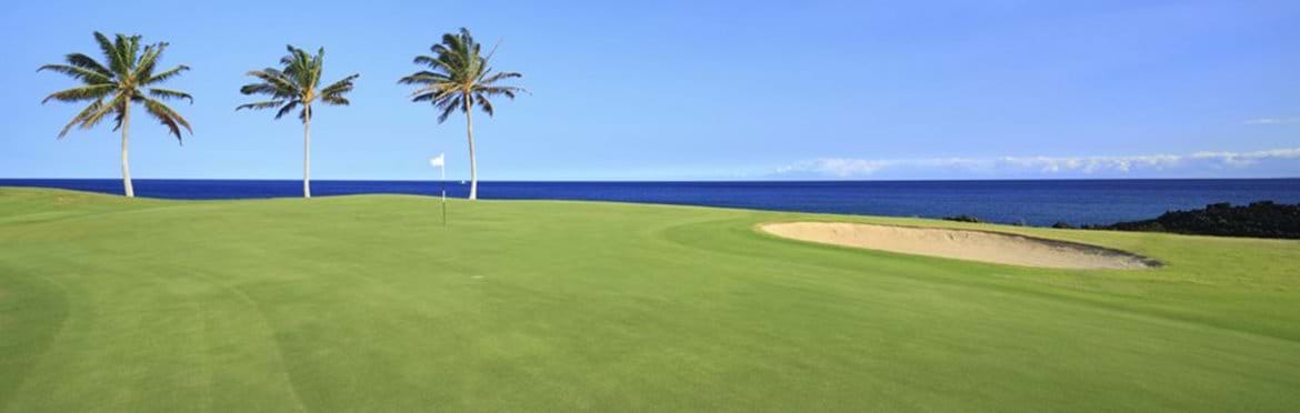 Image title Image alt text