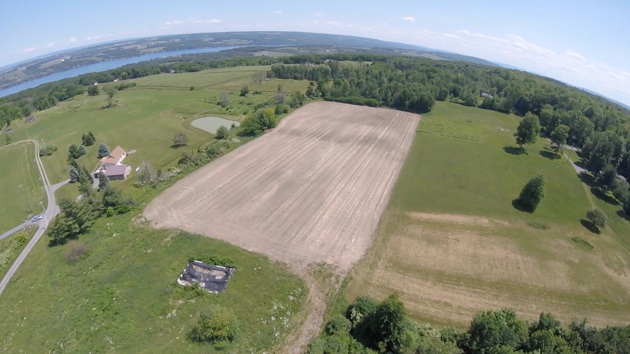 Cleared and vines planted