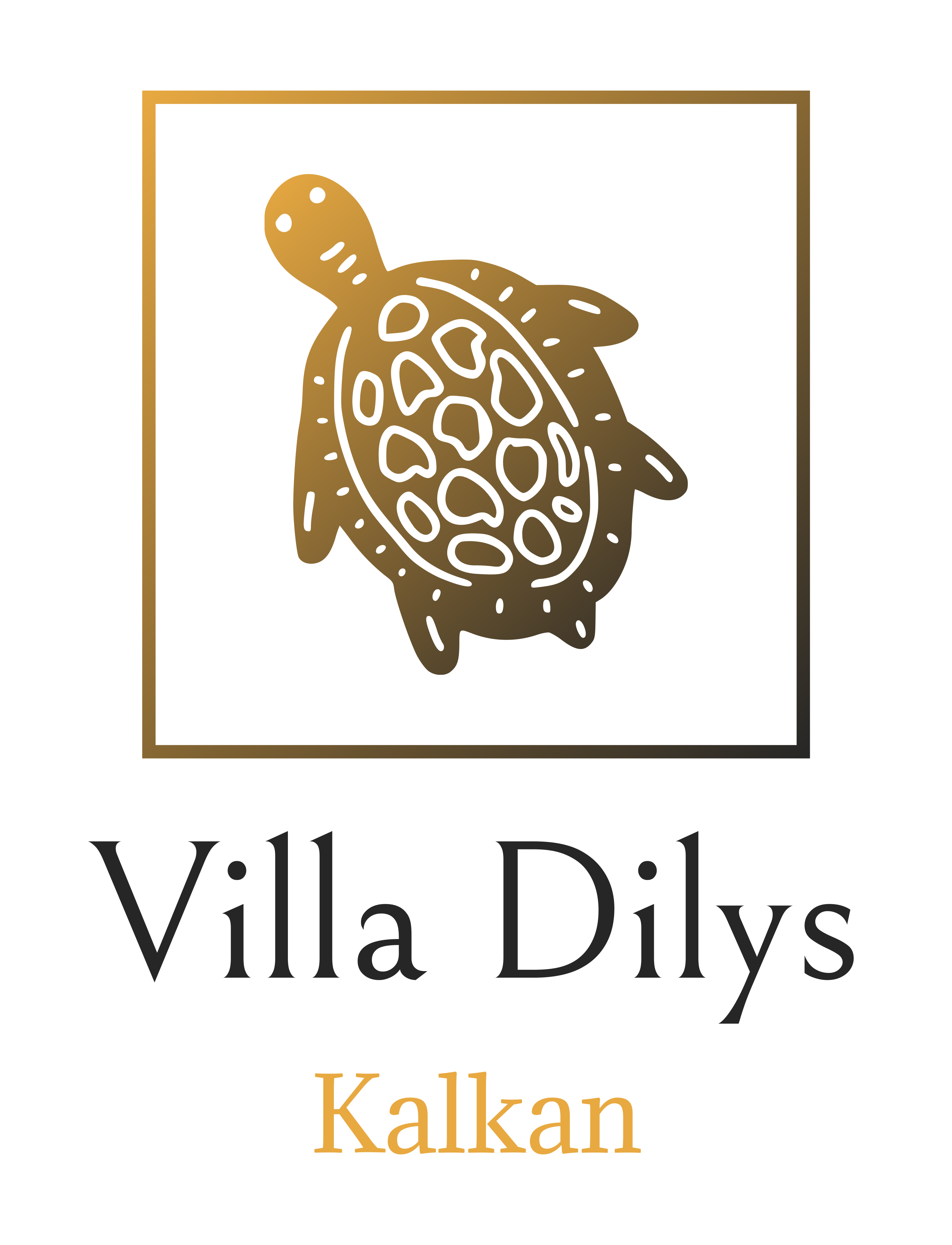 Logo - Villa Dilys