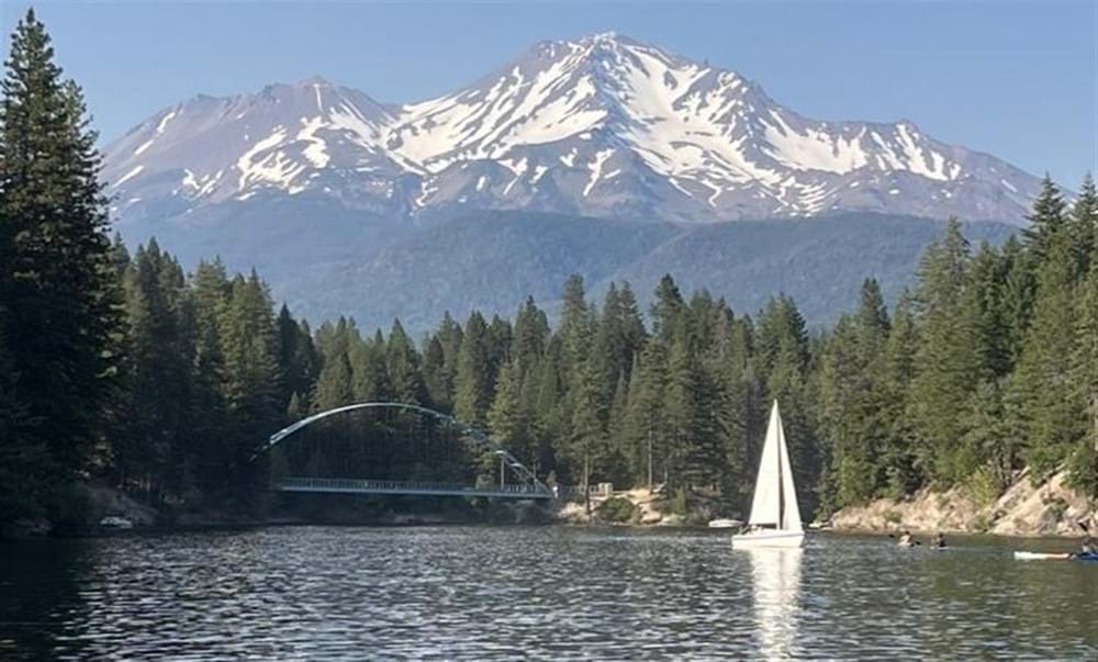 Elevated Escape - allstarescapes.com