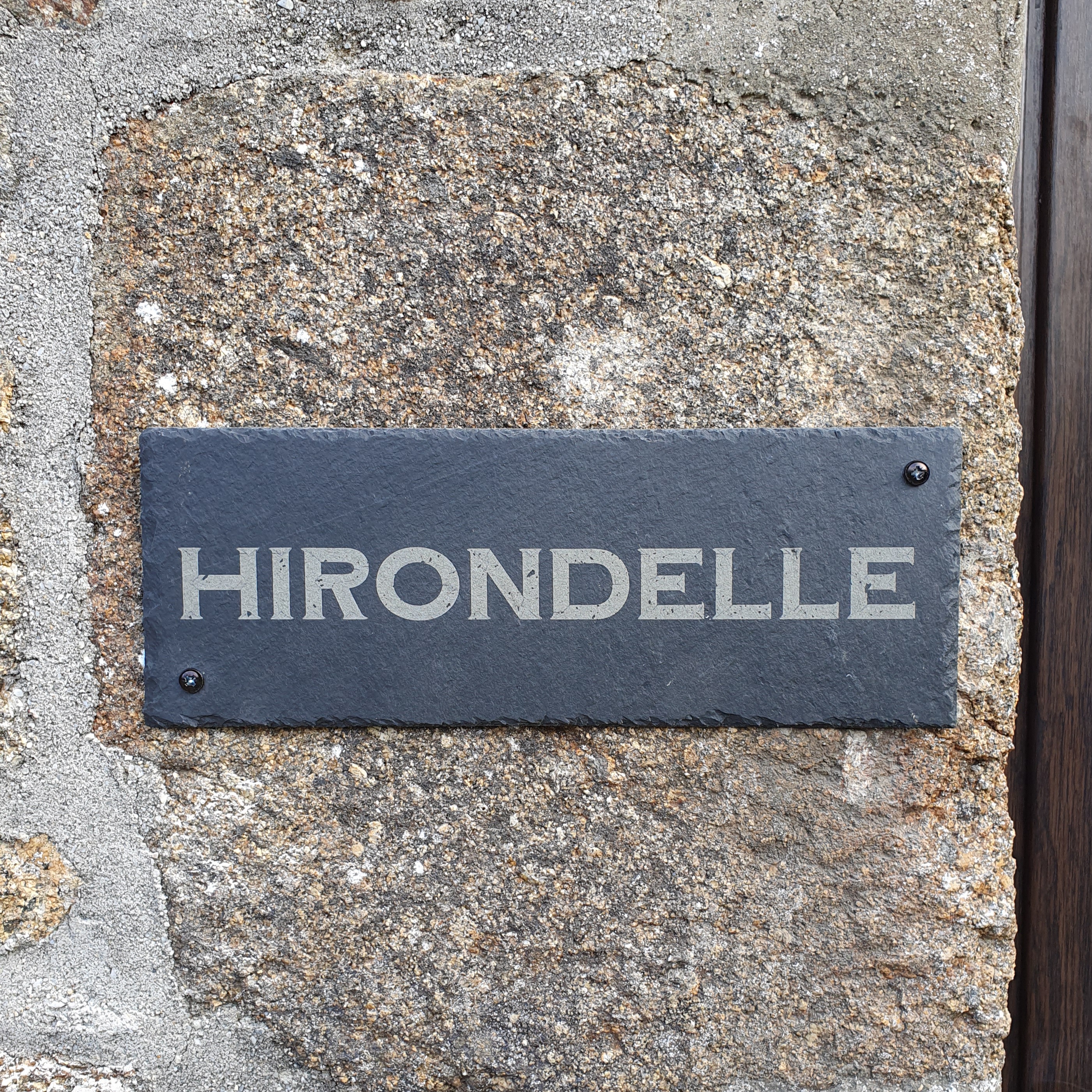 Hirondelle 