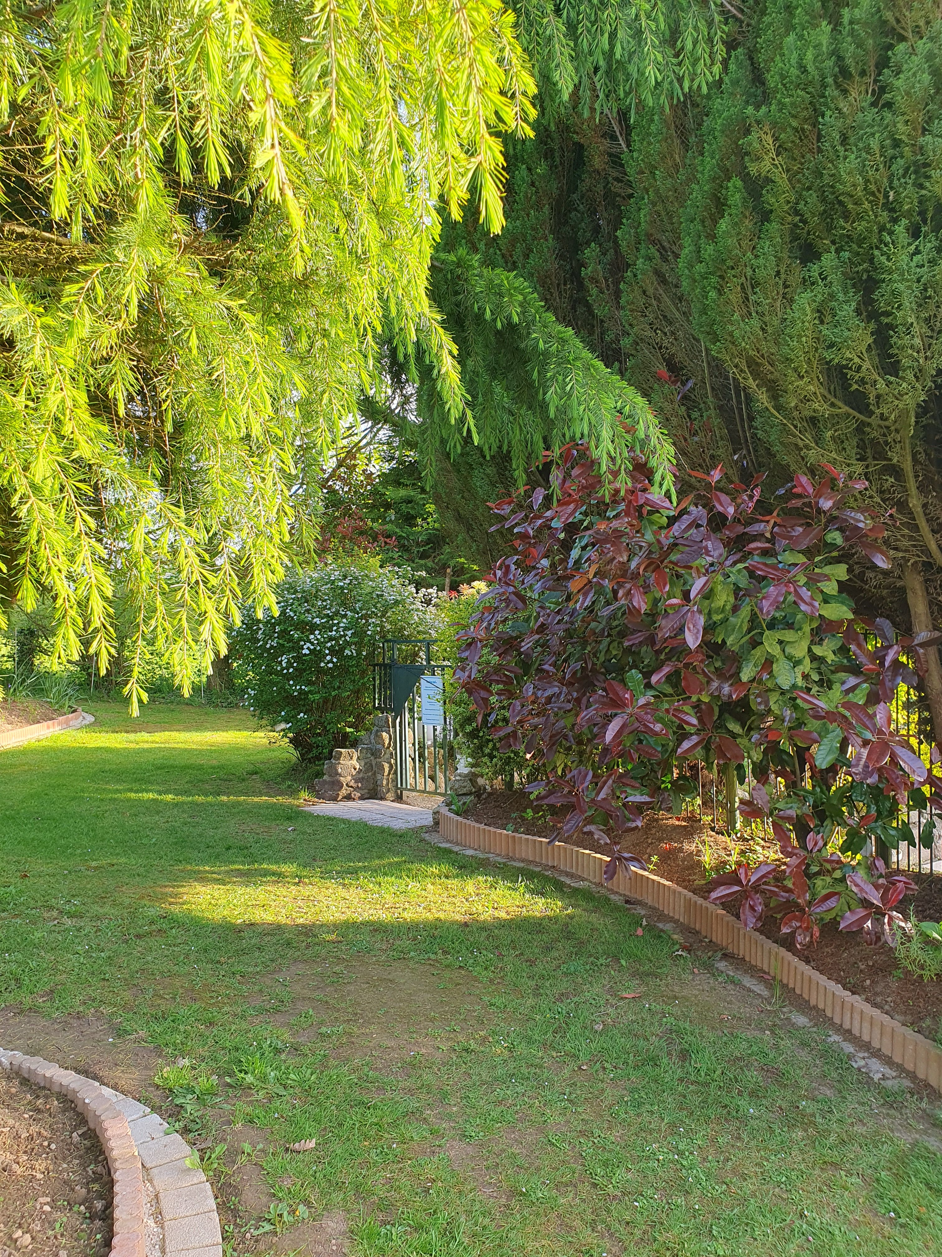 Garden to gated fenced pool