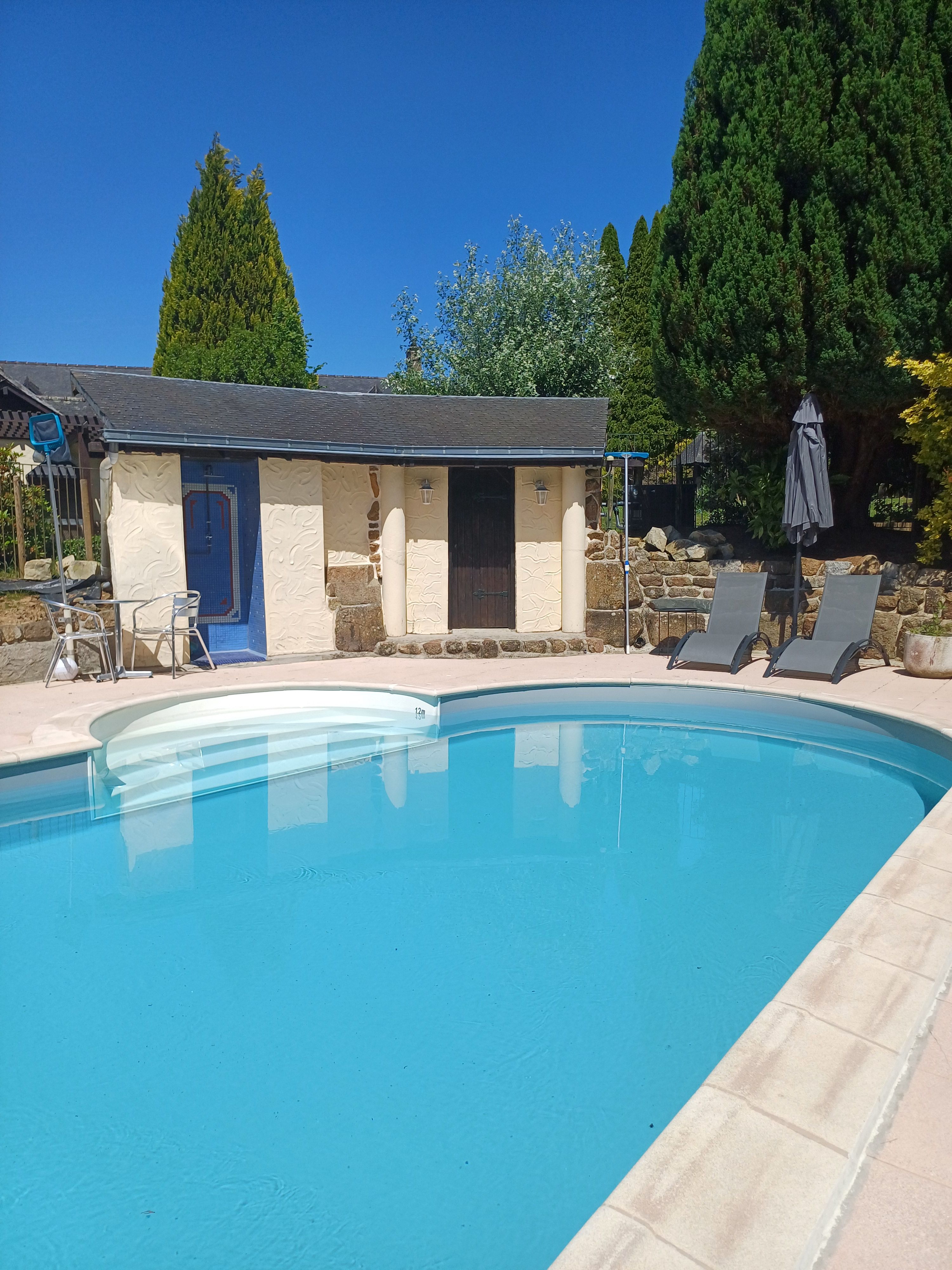 Heated inground pool 