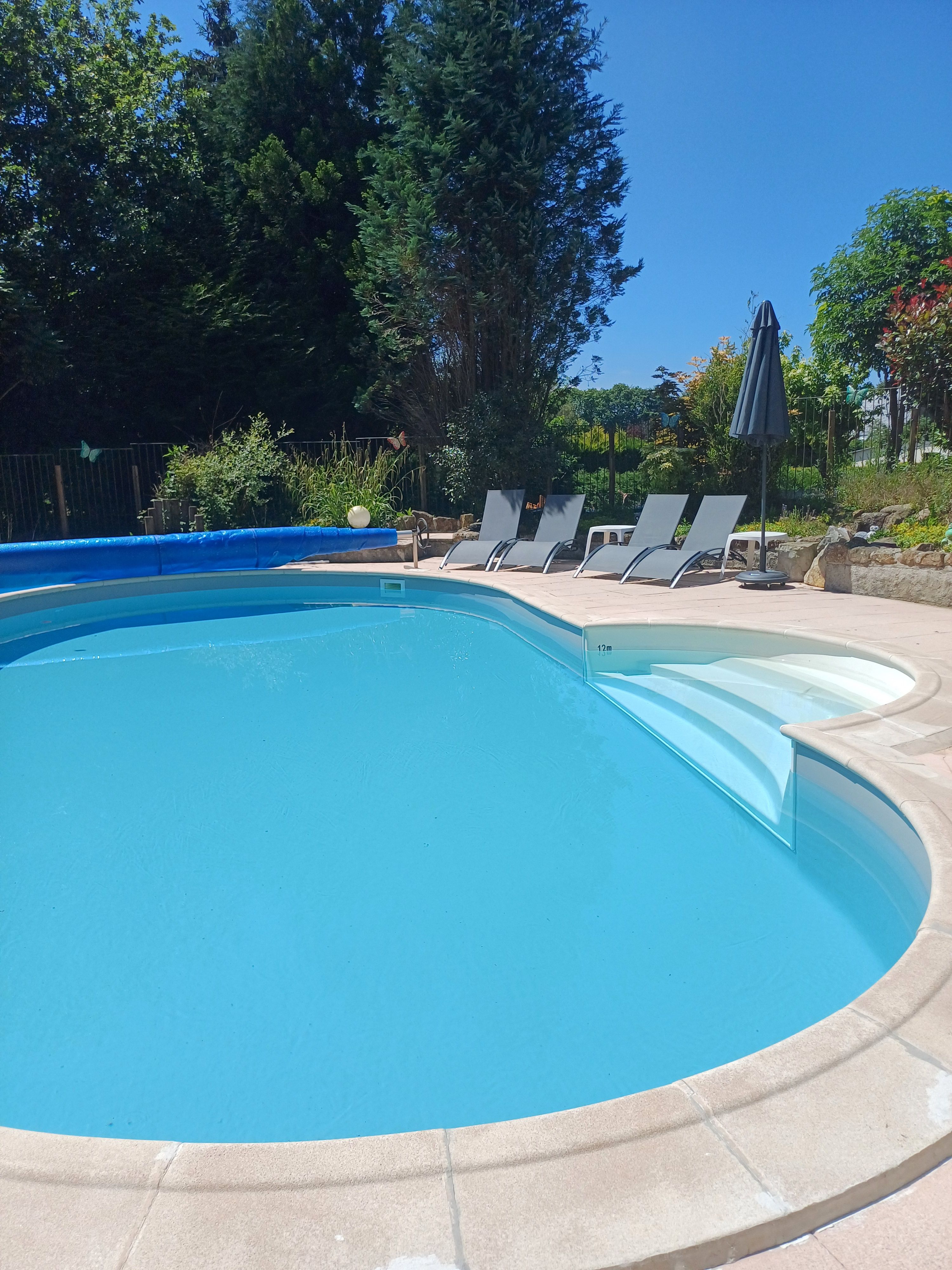 Heated inground pool 