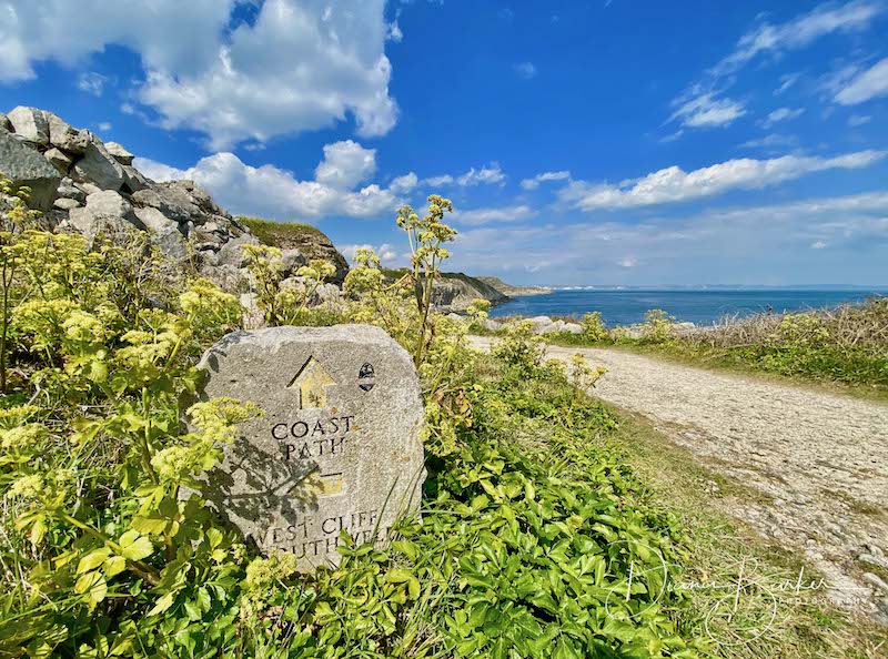The South West Coast Path winds through stunning landscapes along the Jurassic Coast, offering breathtaking views, diverse wildlife, and excellent walking opportunities.