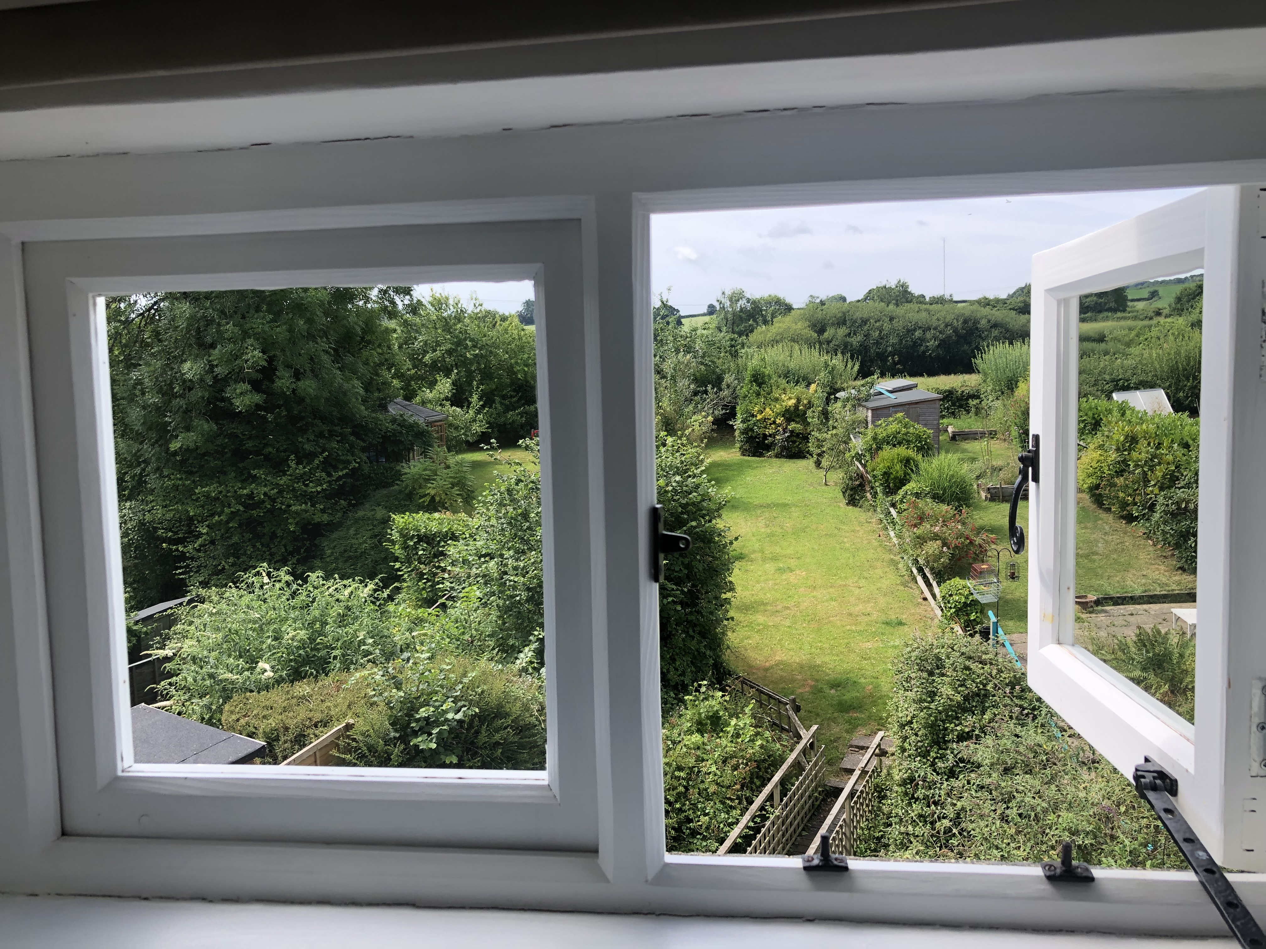 A room with a view!