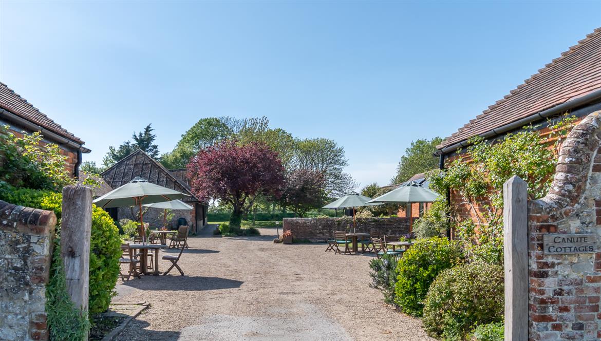 98, 76, 1170, 664, 1402, 795