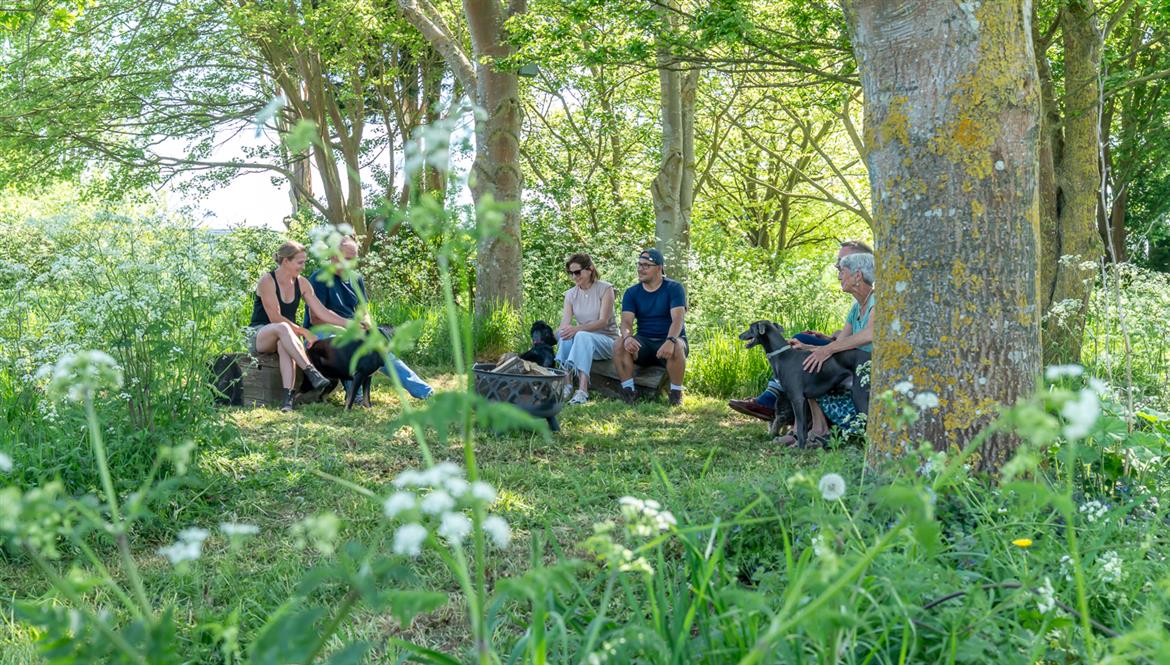 0, 113, 1170, 665, 1500, 852