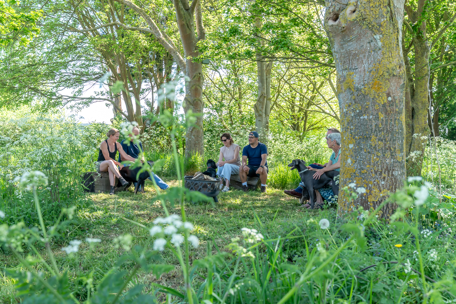 Firepit area at Canute Cottages in a shaded, tree-surrounded spot, ideal for relaxing evenings outdoors