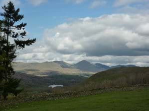 View of the Old Man of Coniston from above the cottage