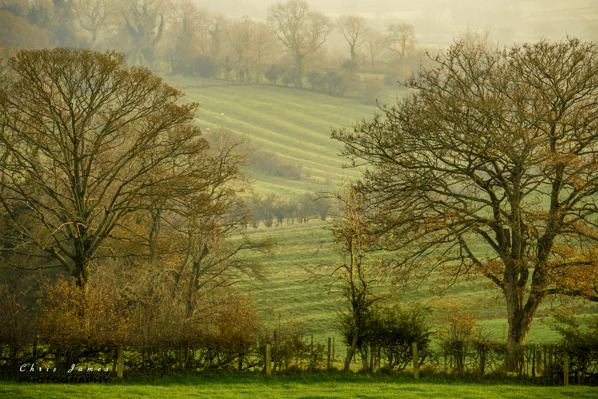 Lovely ridge-and-furrow fields, seen from Pail End