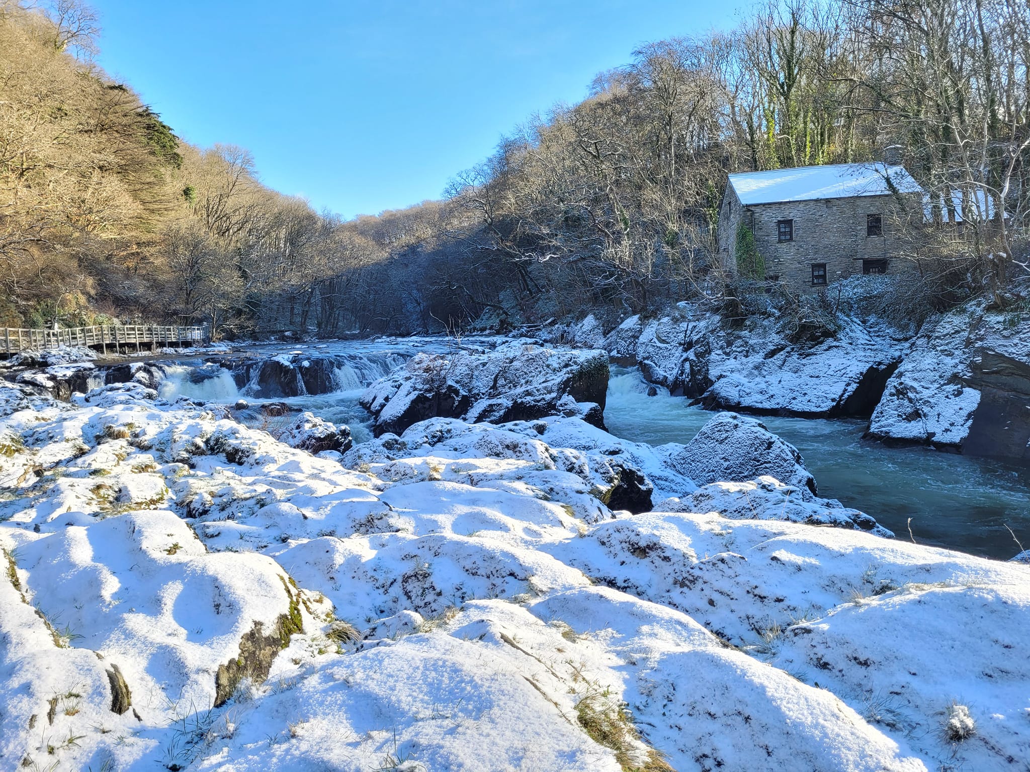Cenarth falls in the snow