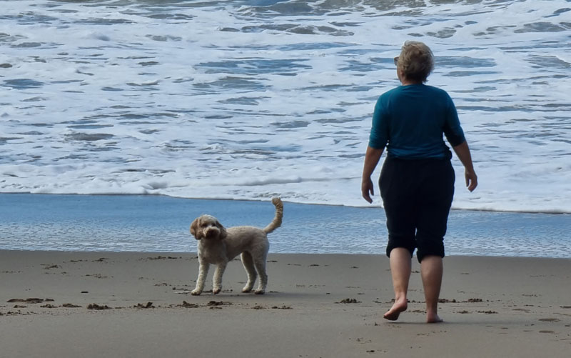 Dog walker on the beach at Tresaith Ceredigion