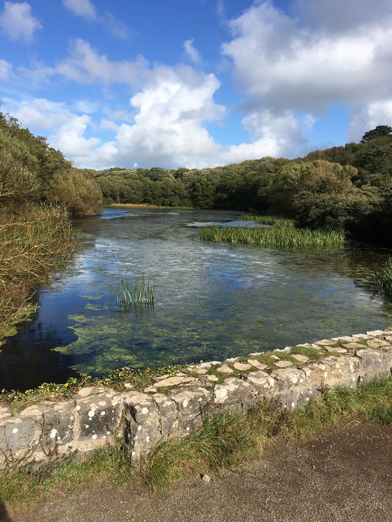 Bosgherston Lily Ponds Grassy Bridge Pembrokshire 