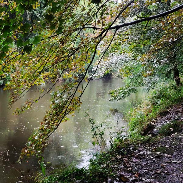 River Teifi in the autumn 