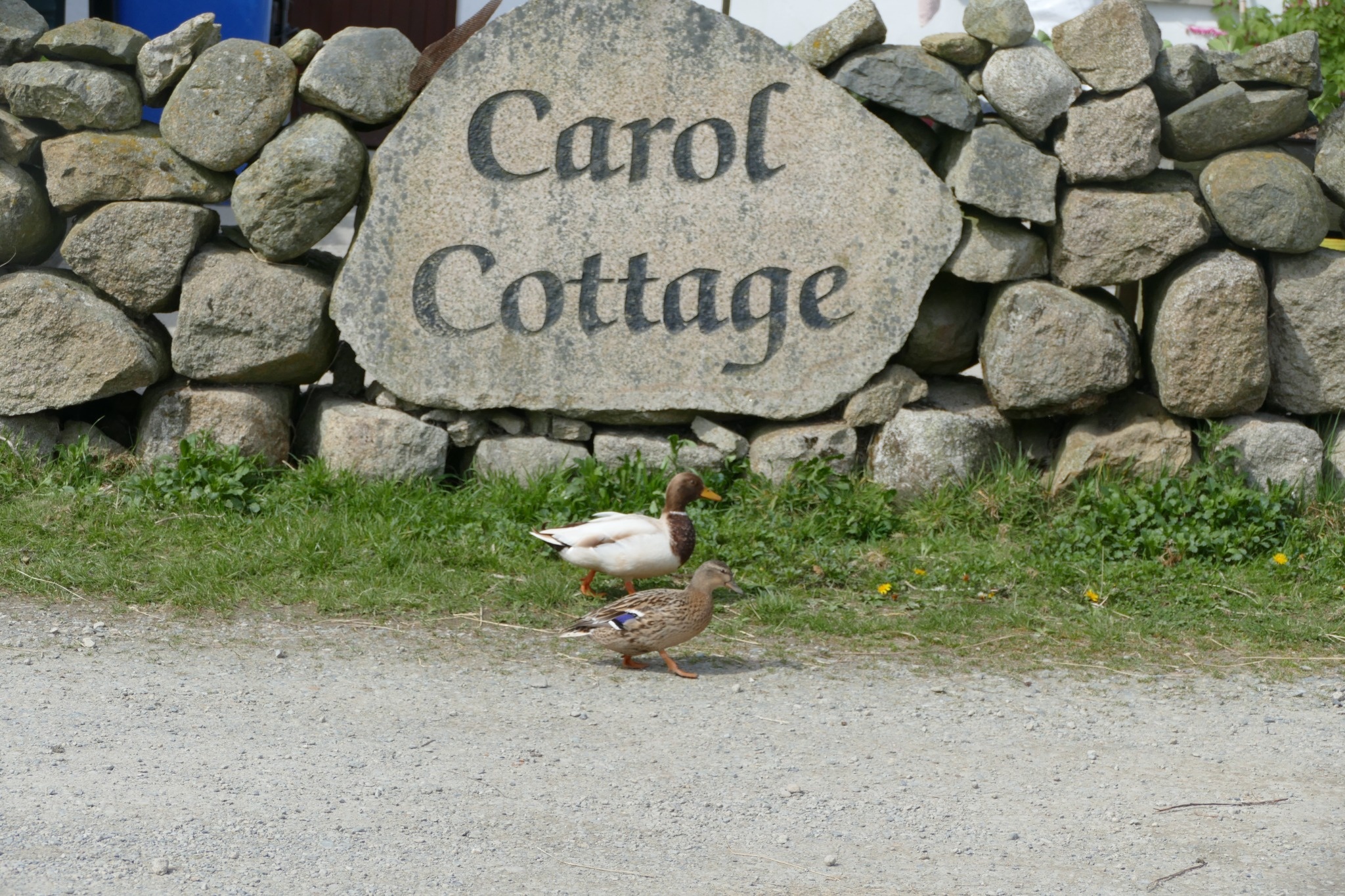 Carol Cottage in The Mourne Mountains