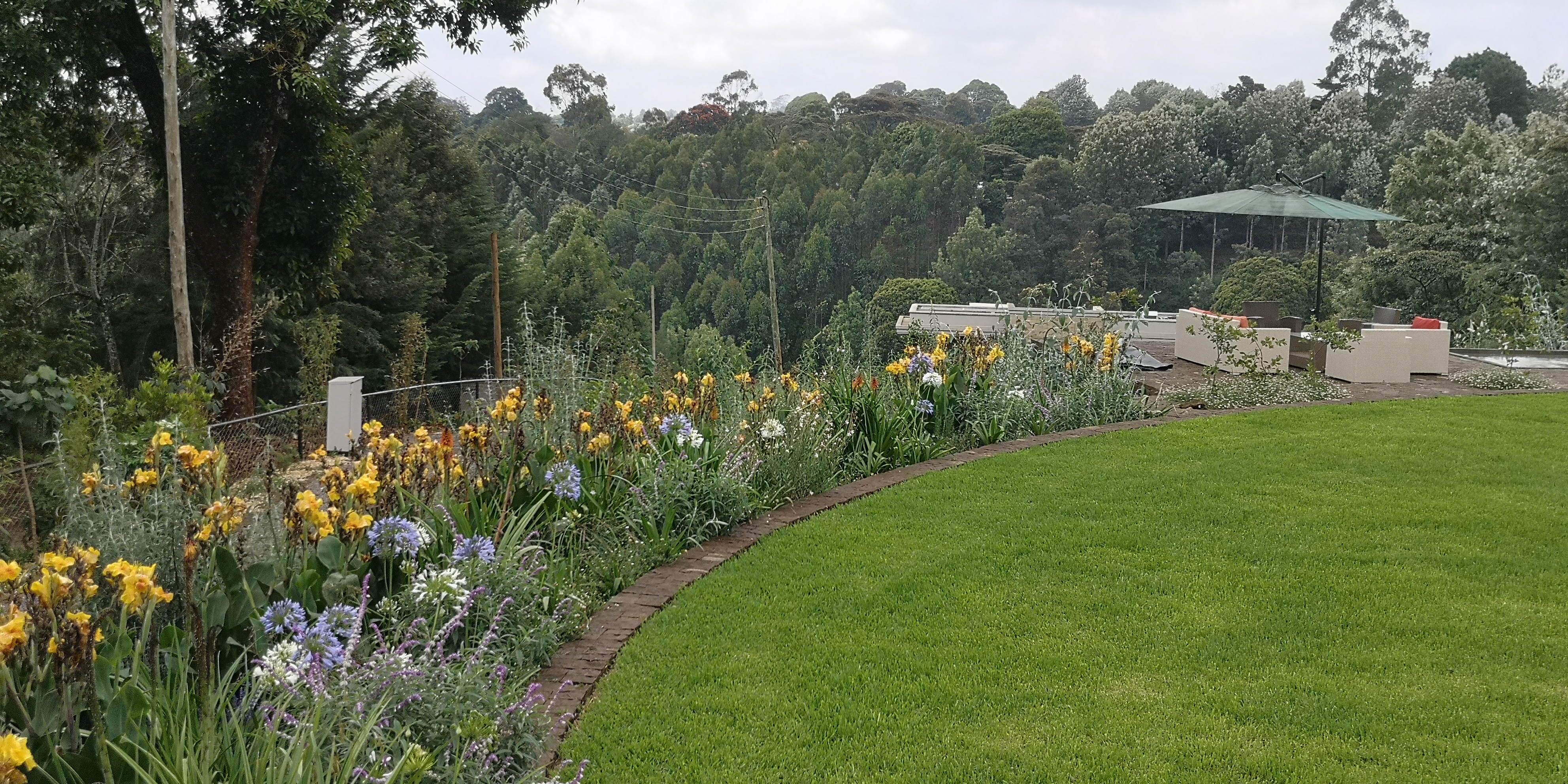 garden view at Pond Cottage Tigoni