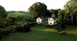Kiambethu Tea Farm near Pond Cottage Tigoni, Kenya