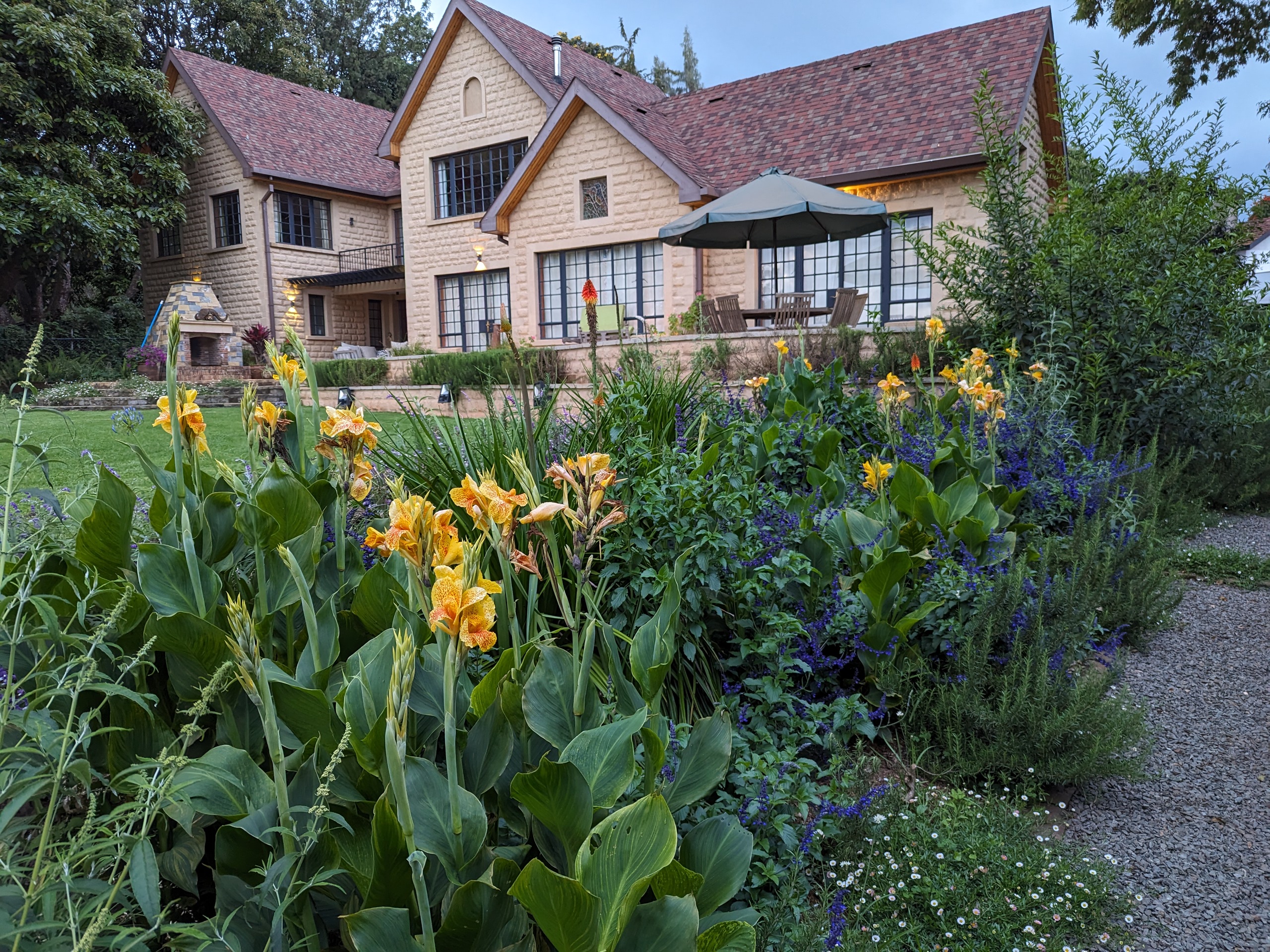 garden at Pond Cottage Tigoni