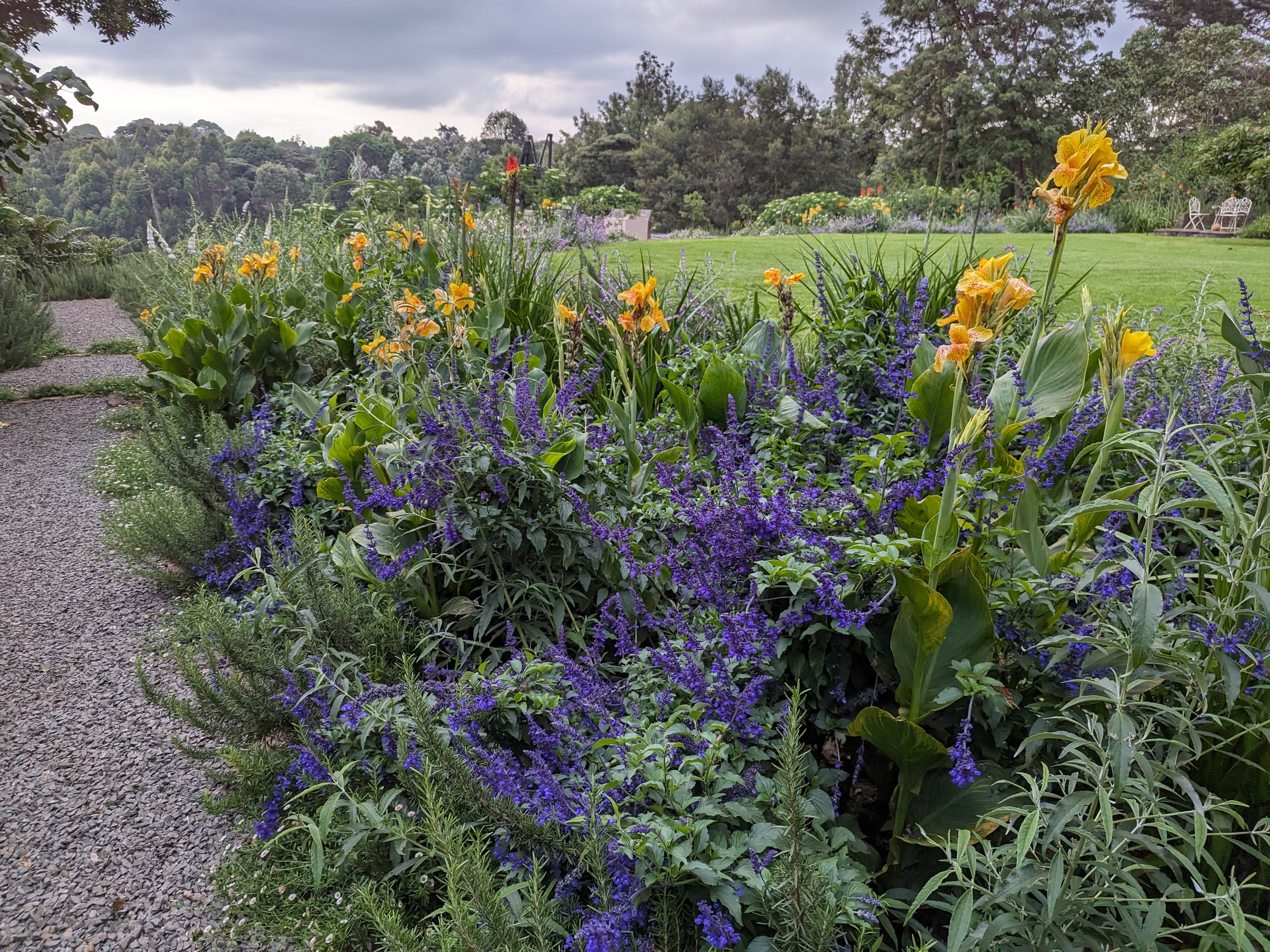 garden at Pond Cottage Tigoni