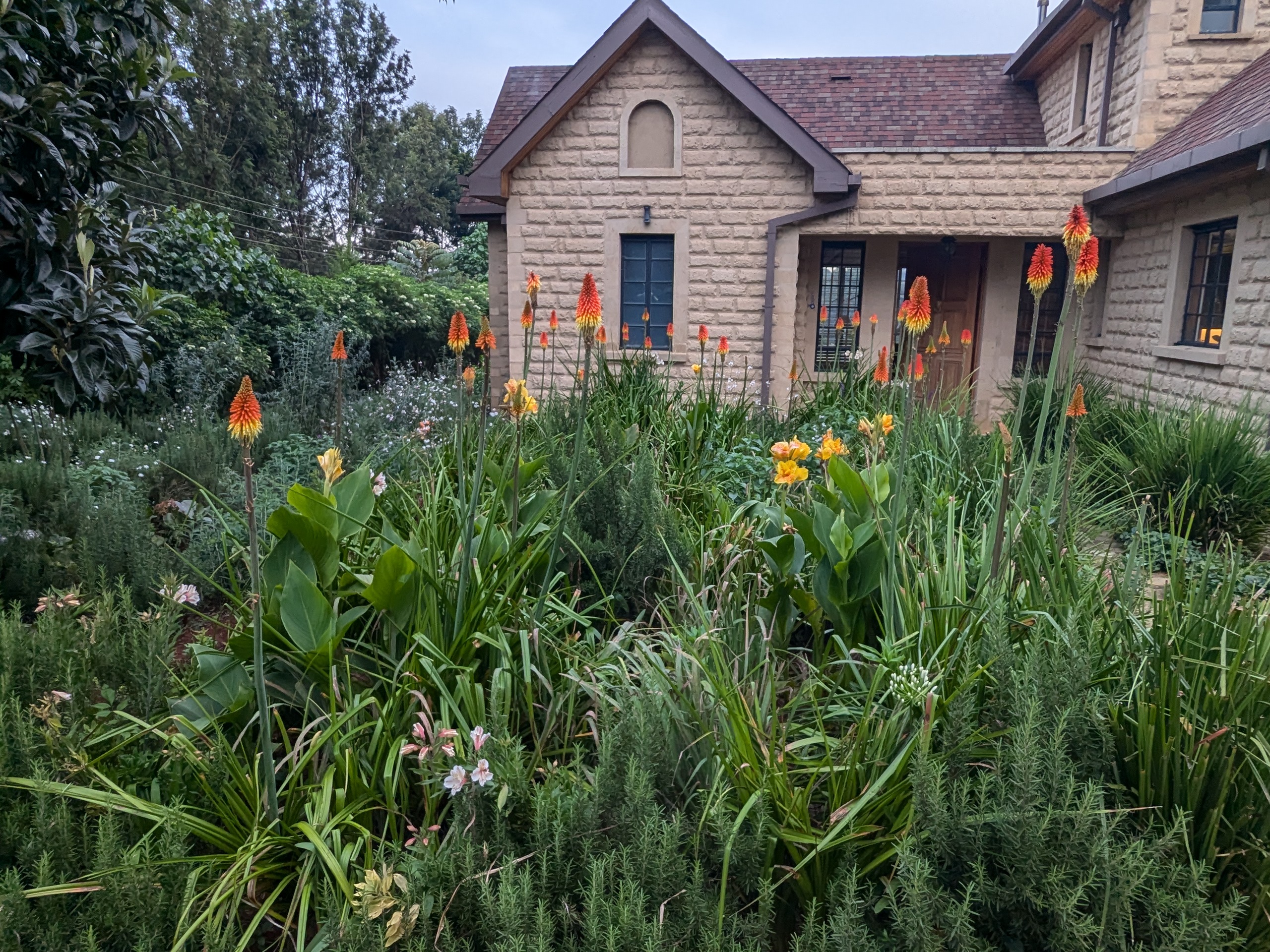 Front door of Pond Cottage Tigoni