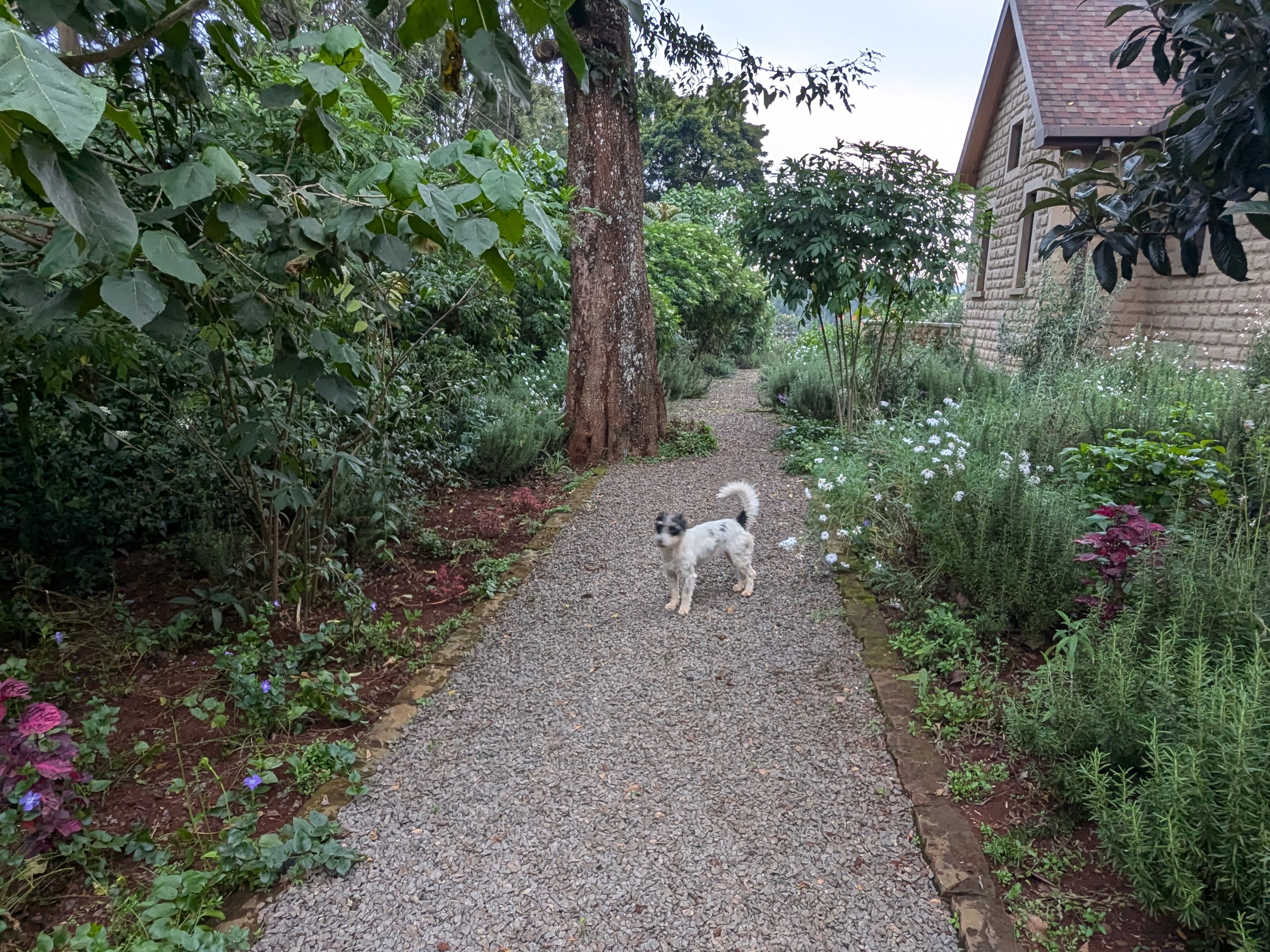 Pond Cottage Tigoni on Instagram — image 1