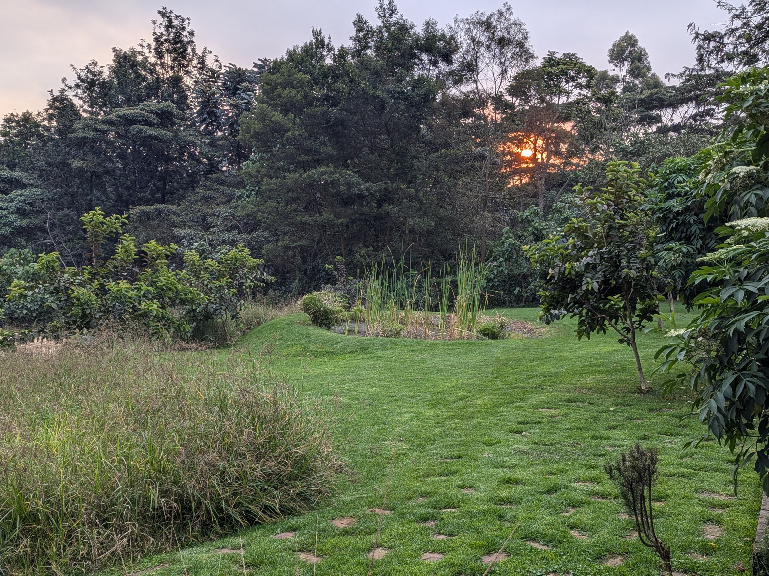 garden at Pond Cottage Tigoni