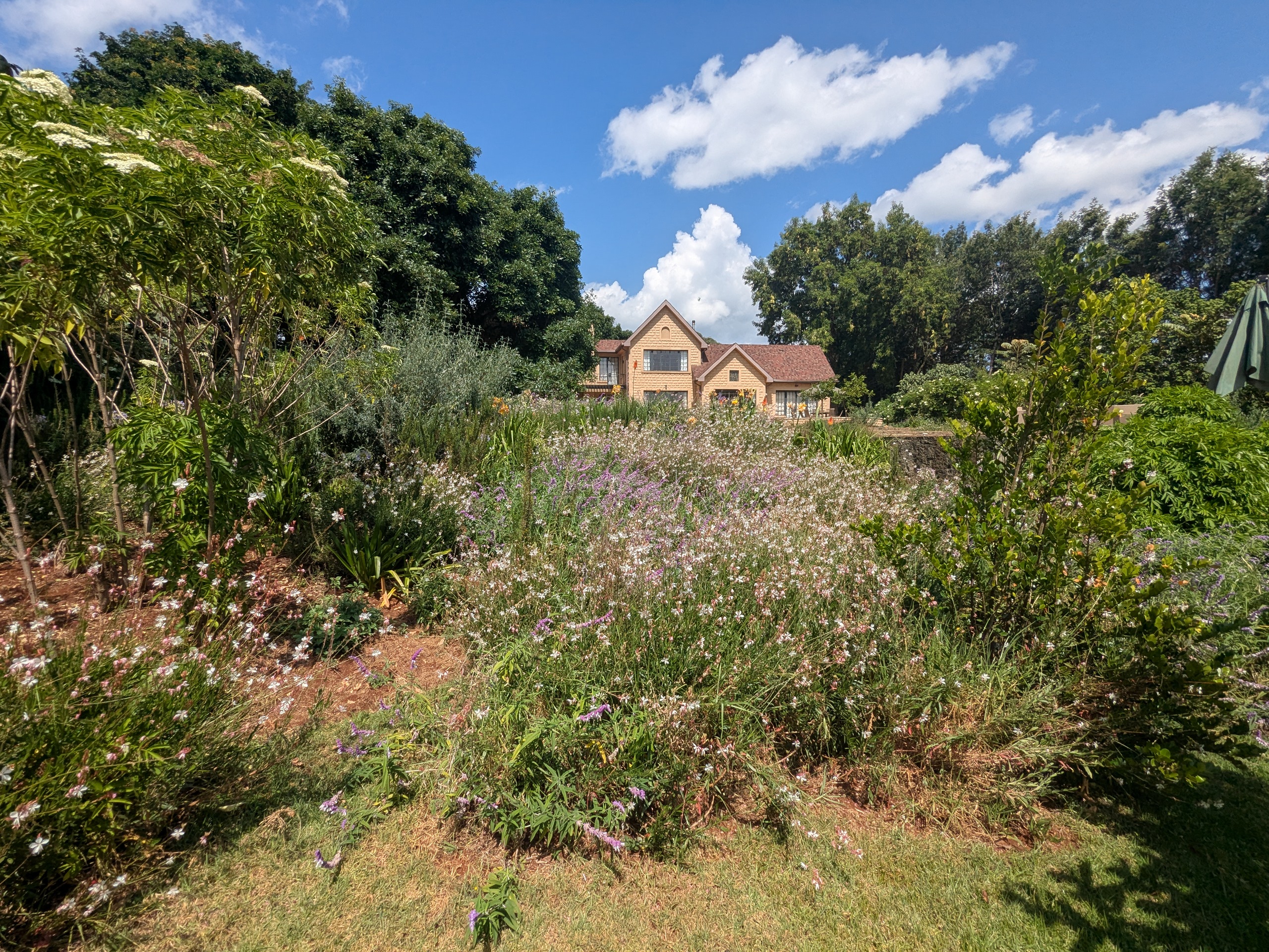 Pond Cottage Tigoni — country-villa exterior and garden