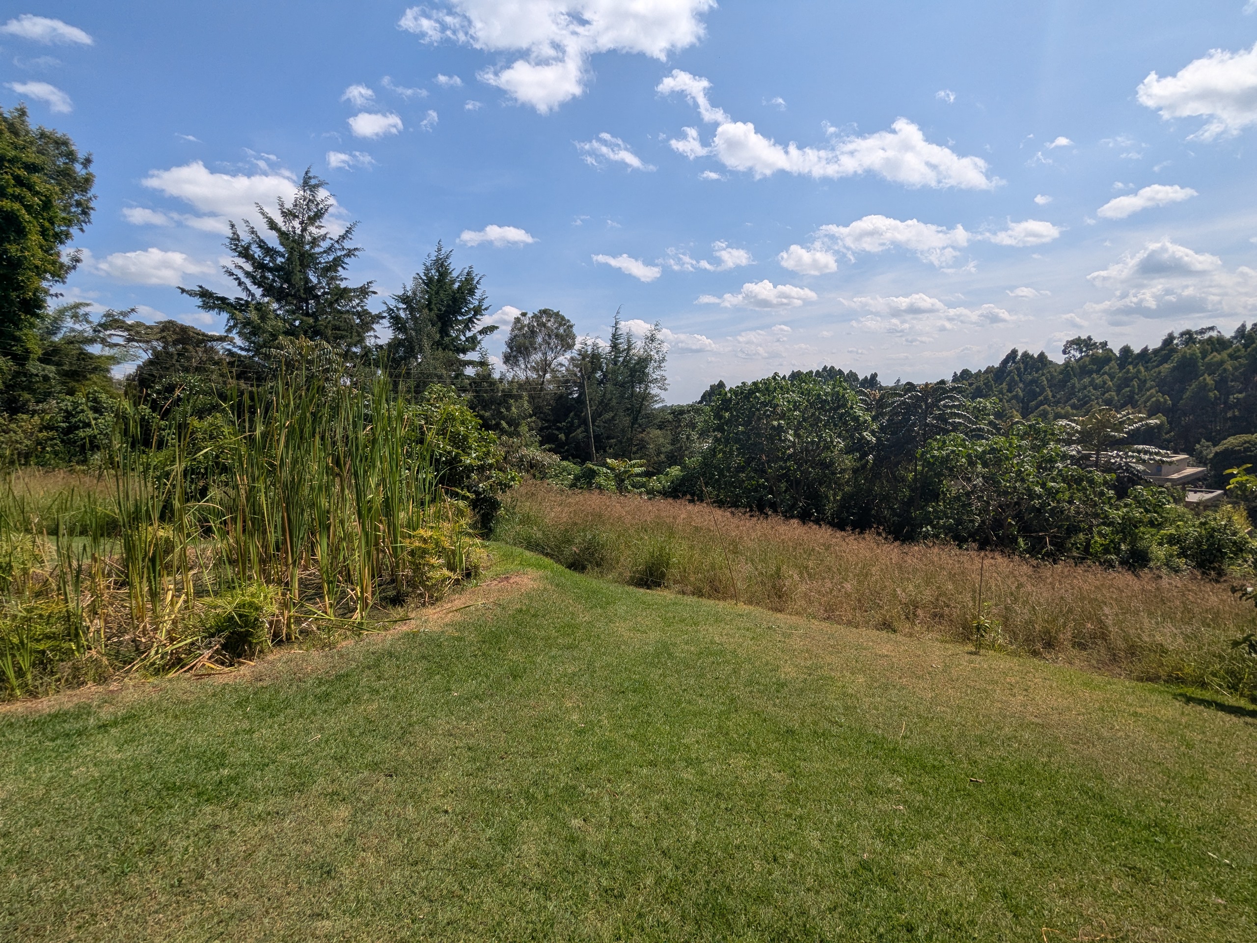 garden at Pond Cottage Tigoni