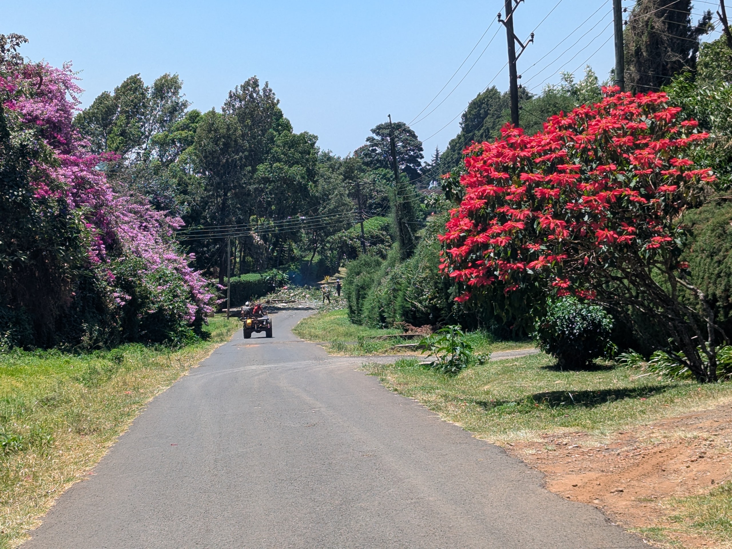 residential road at Pond Cottage Tigoni