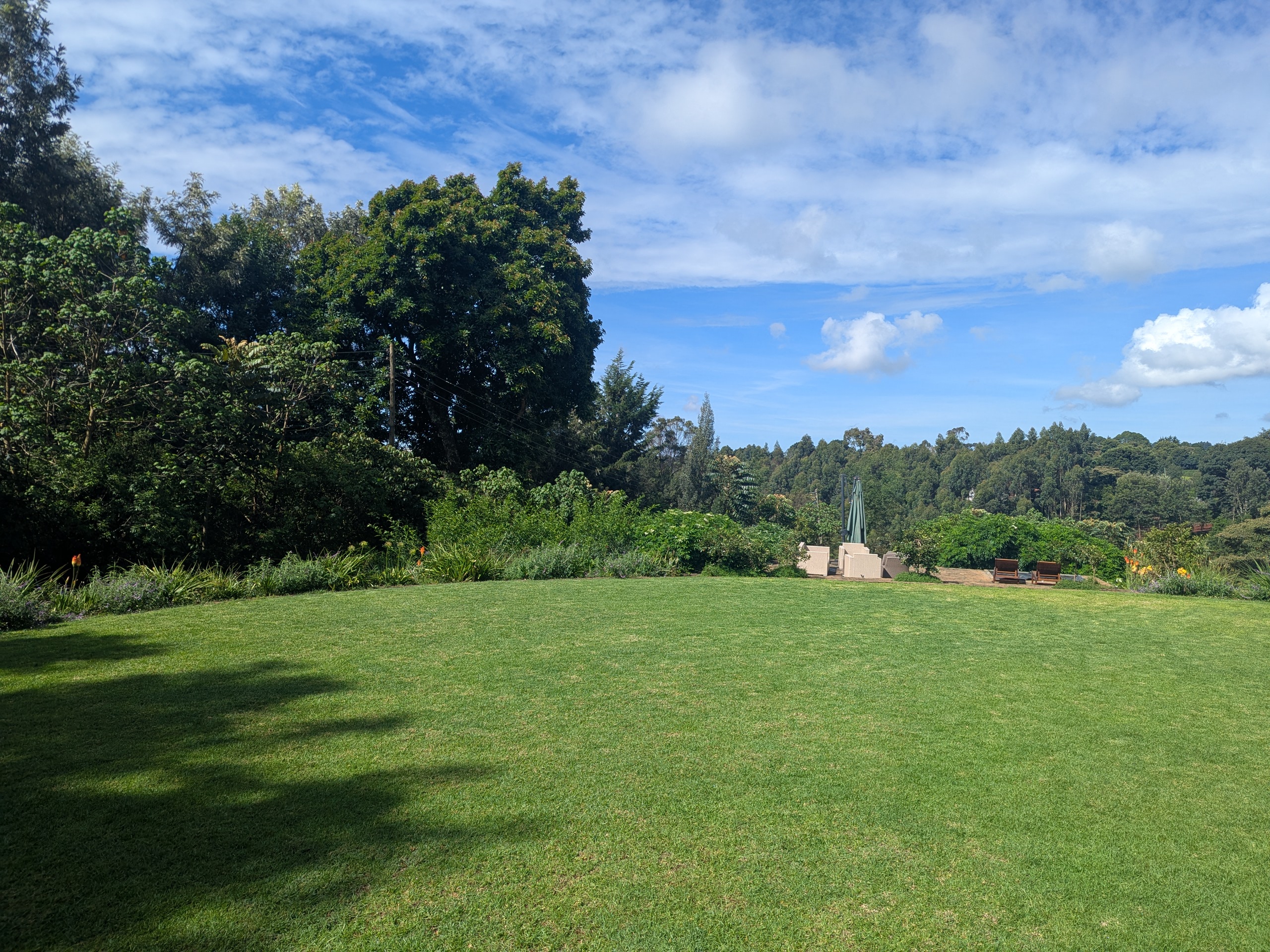 lawn at Pond Cottage Tigoni